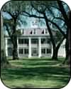 New Orleans Plantations Past and  Present